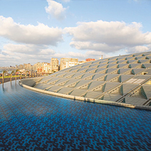 Alexandria Tour from Suez Port